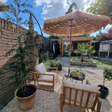 Mediterranen Garten
