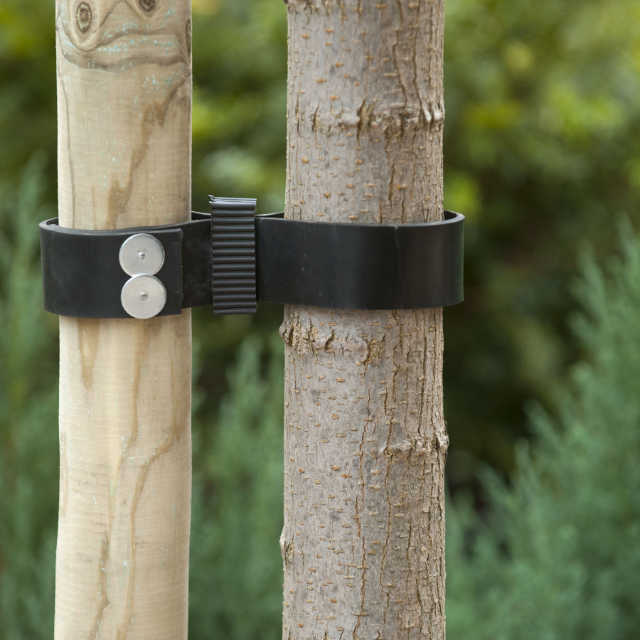 Kautschuk-Baumband 60 x 3,8 cm - (2 x Stück)