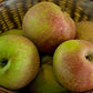 Apfelbaum 'Schöner aus Boskoop' Halbstamm