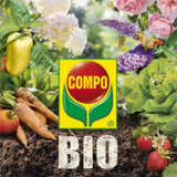 Compo