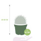 Echinocactus grusonii im Topf 12 cm Ø