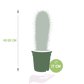 Elefantenkaktus im 17 cm Topf Ø